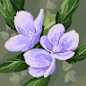 Meet your Posher, Sophia